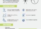 PREVENCION DEL DENGUE
