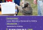 DURANTE OCTUBRE CONTINUA LA CAMPAÑA DE ZOONOSIS EN EL CRIM