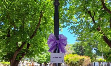 25N• INTERVENCIÓN EN PLAZA SAN MARTÍN 