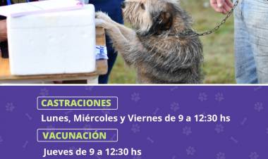 DURANTE OCTUBRE CONTINUA LA CAMPAÑA DE ZOONOSIS EN EL CRIM