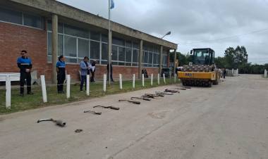 DESTRUCCION DE ESCXAPES ANTIREGLAMETARIOS