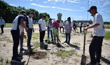 PLANTACION DE ESPECIES NATIVAS