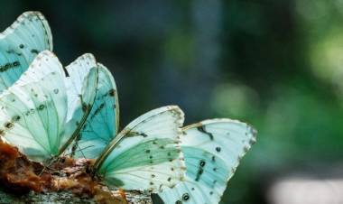 UNA JORNADA DE APRENDIZAJE Y COMPROMISO CON EL AMBIENTE