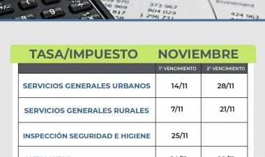 VENCIMIENTOS DE TASAS MUNICIPALES DE NOVIEMBRE