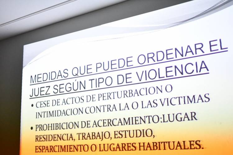 ACADEMIA SOBRE VIOLENCIA FAMILIAR Y POR RAZONES DE GÉNERO