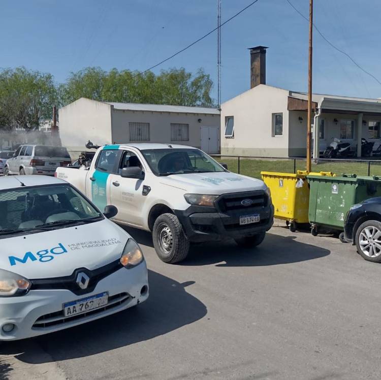 FUMIGACION POR LA CRECIENTE PRESENCIA DE MOSQUITOS