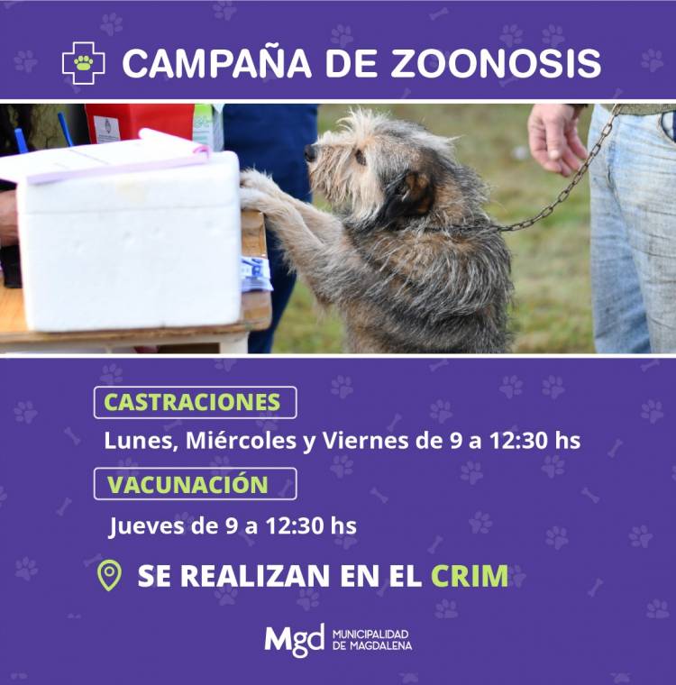 LA CAMPAÑA DE ZOONOSIS CONTINUARA EN EL CRIM