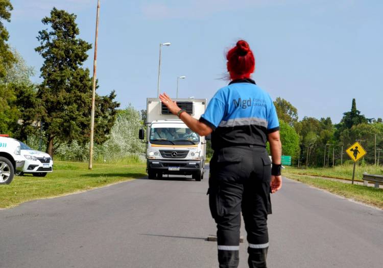 OPERATIVO VEHÍCULAR EN PARAJE EL PINO