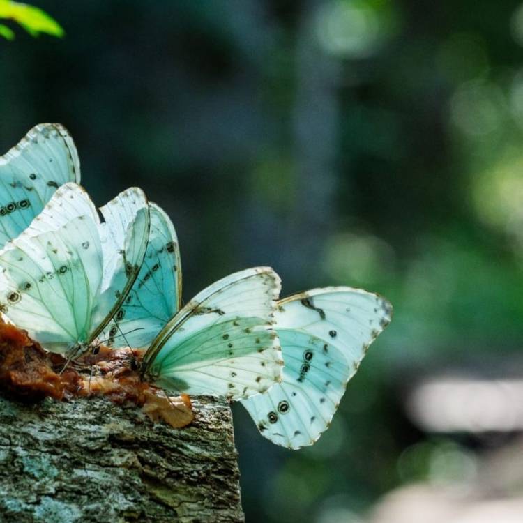 UNA JORNADA DE APRENDIZAJE Y COMPROMISO CON EL AMBIENTE