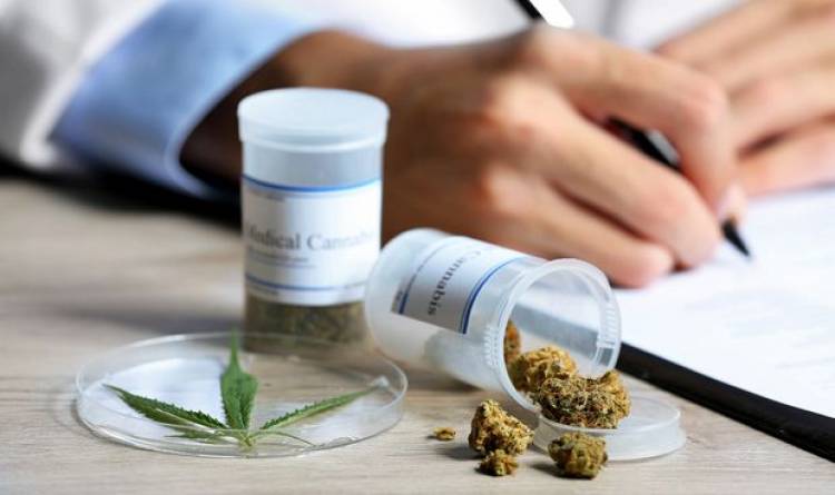 ABRIRÁN UN REGISTRO DE PACIENTES PARA TRATAMIENTO CON CANNABIS MEDICINAL